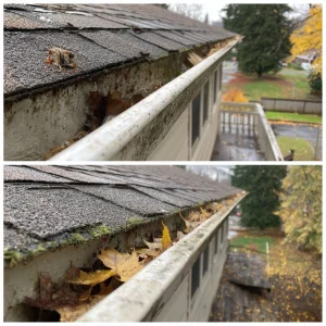 Gutters Repair or Replacement in UK