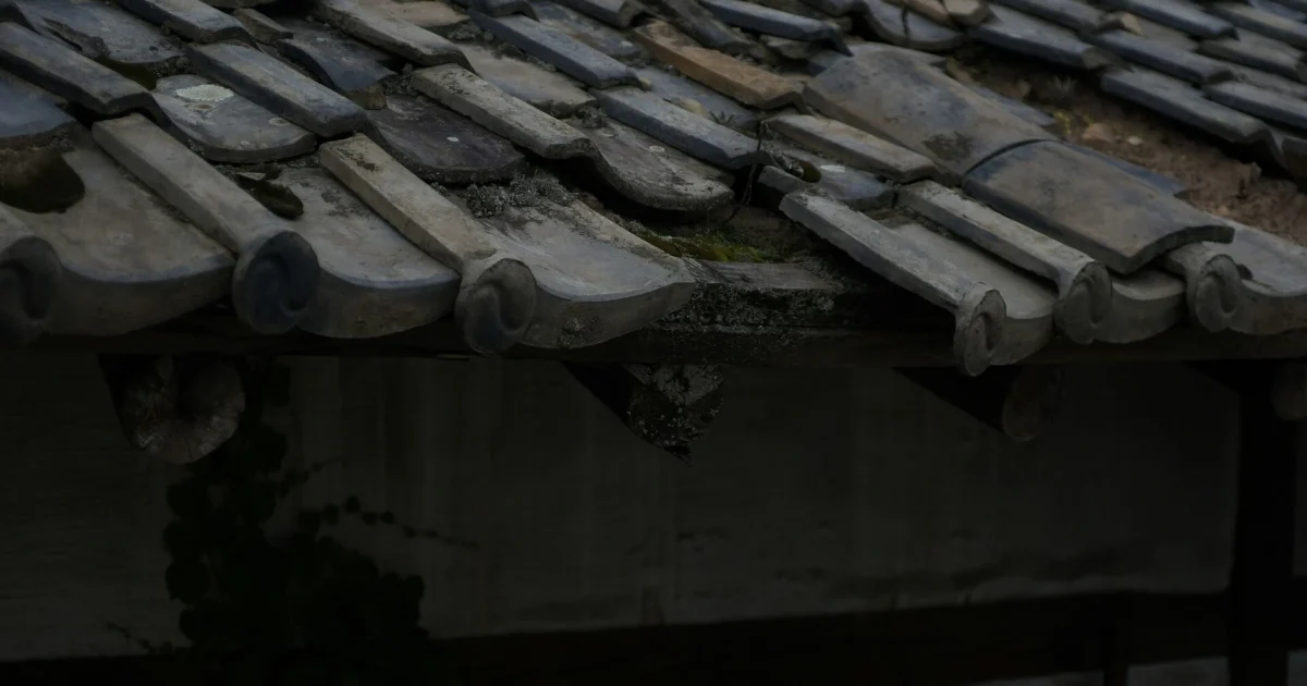 Roof Leak UK winter