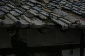 Roof Leak UK winter