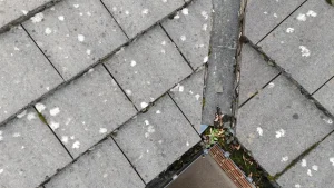Roof Valley Leak